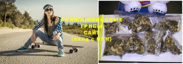 винт Армянск