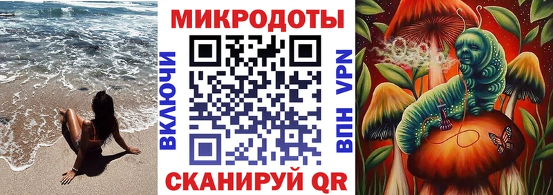 Псилоцибиновые грибы Cubensis Кодинск